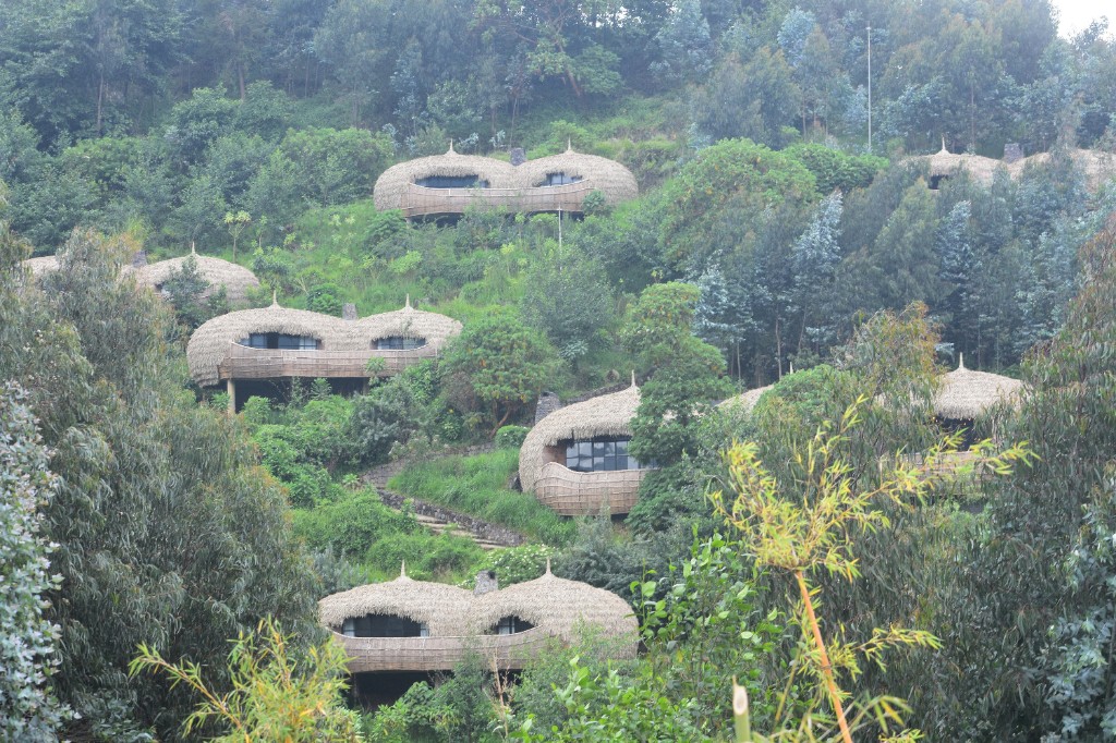 Thatched eco-lodge villas on a misty green hillside near Rwanda's Volcanoes region
